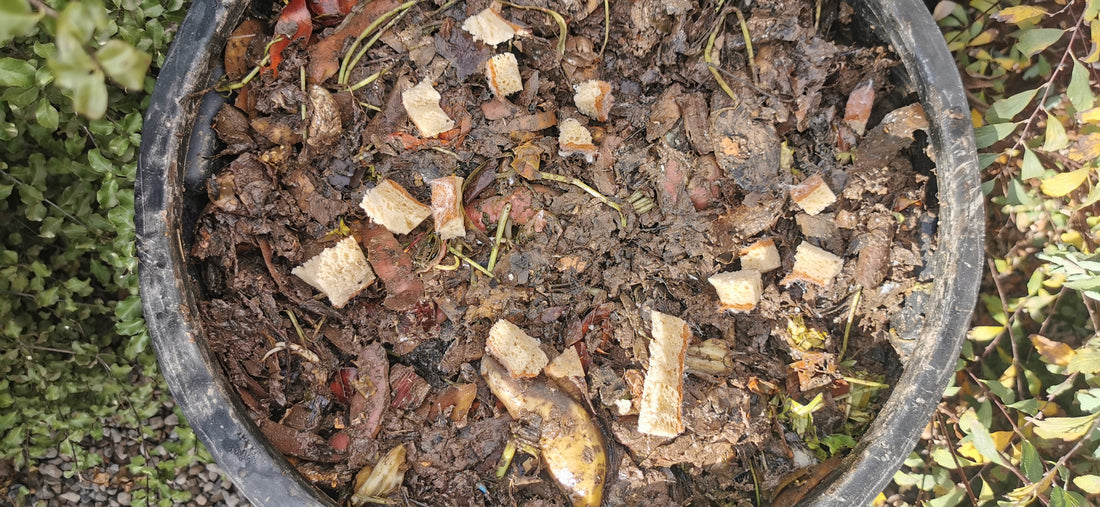Compost en accion