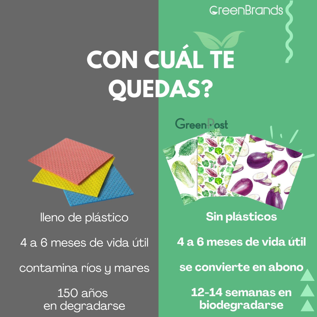 Paño Esponja Compostable (Pack 3) - Diseño Verduras