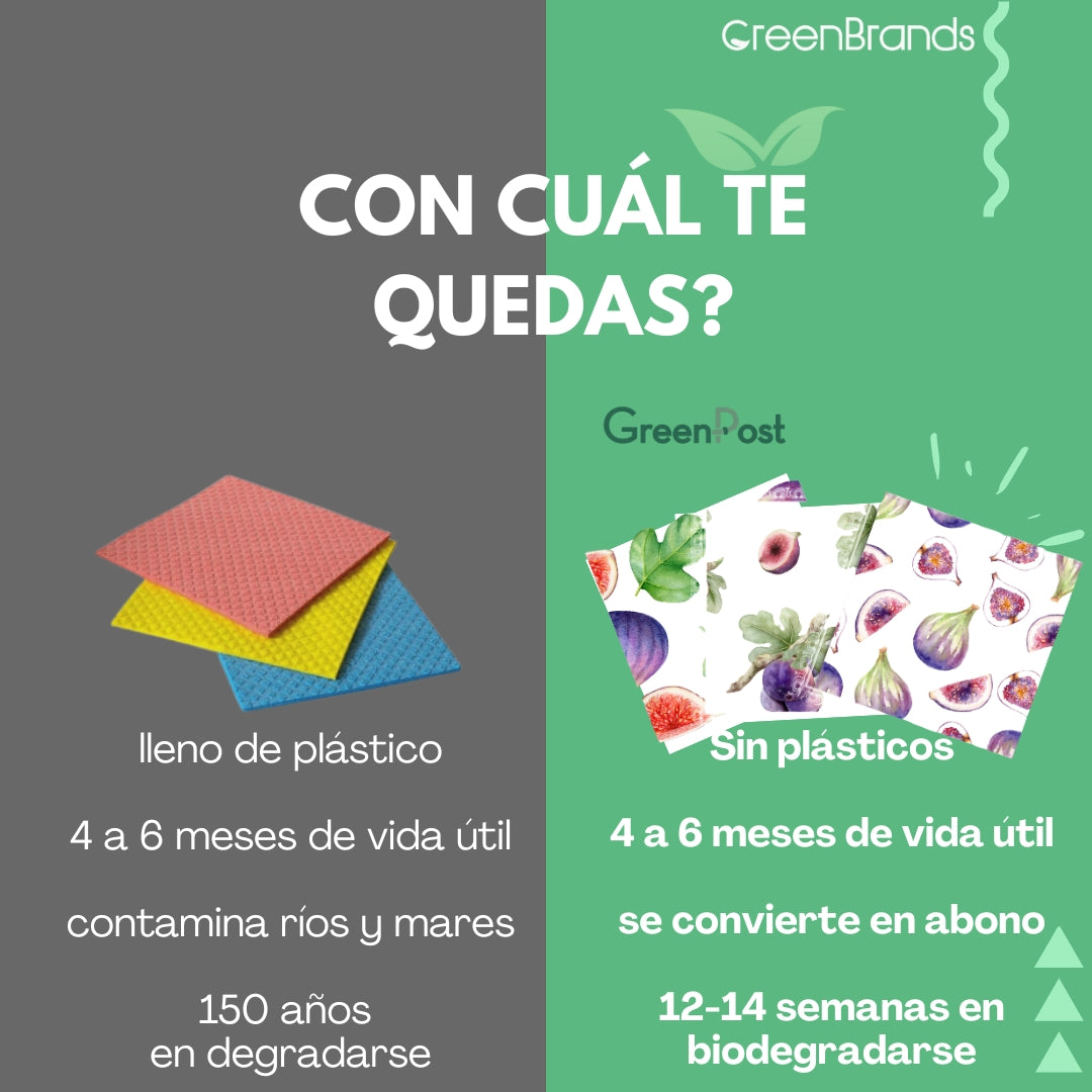 Caja de 10 Packs - 30 Paños Esponja Compostable - Diseño Higos
