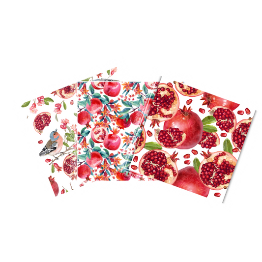 Caja de 10 Packs - 30 Paños Esponja Compostable - Diseño Granadas