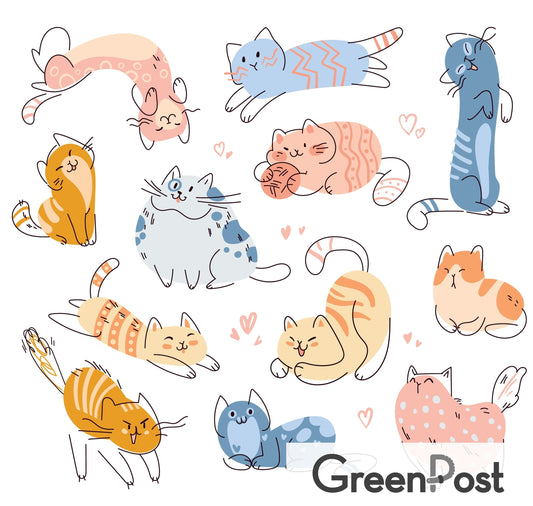 Paño Esponja Compostable (Pack 3) - Diseño Miau