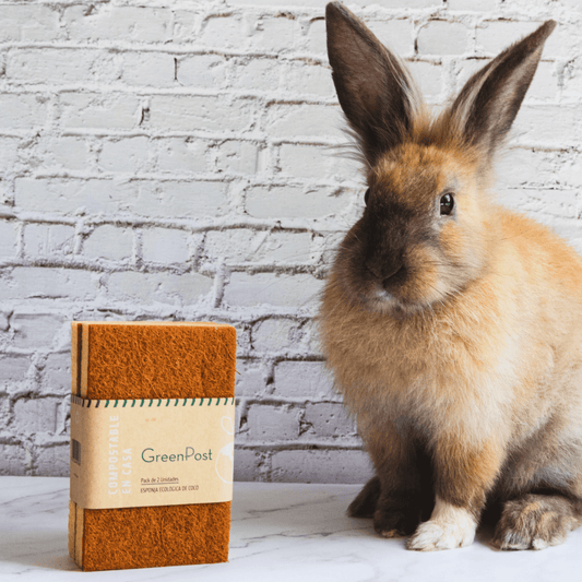 Esponja de coco. Esponja ecológica de fibra de coco. Producto sustentable. GreenPost. Limpia tu cocina y el planeta con GreenPost.