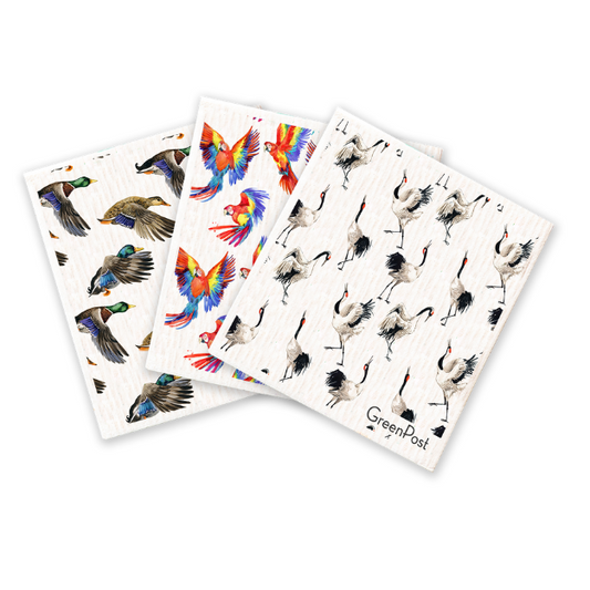 Paño Esponja Compostable (Pack 3) - Diseño Aves