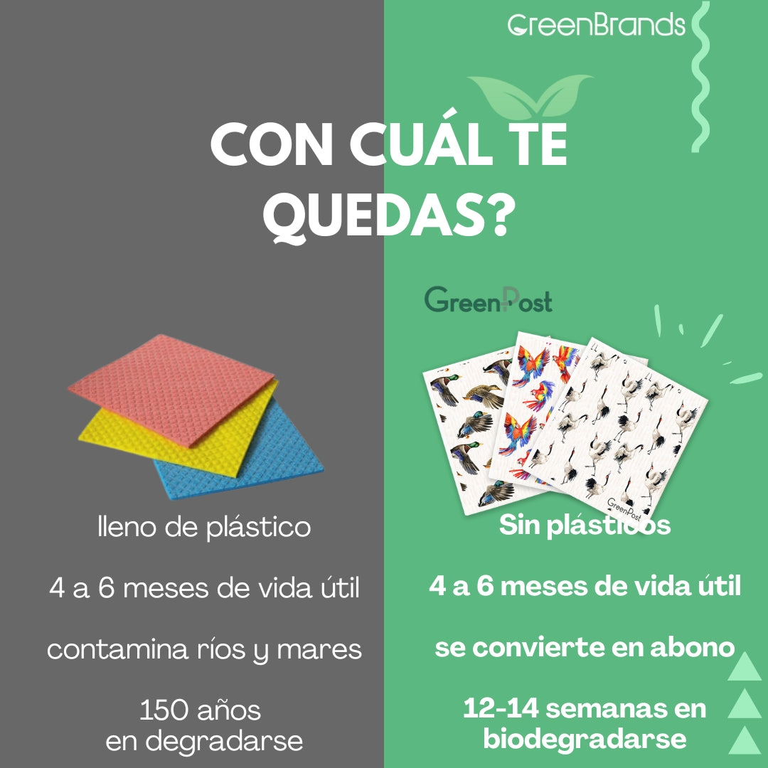 Paño Esponja Compostable (Pack 3) - Diseño Aves