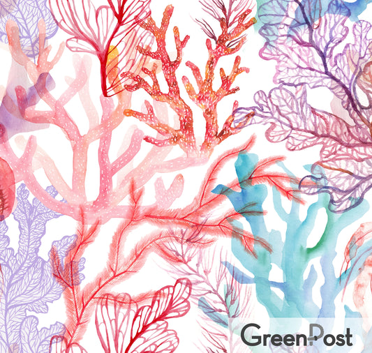 Paño Esponja Compostable (Pack 2) - Diseño Corales