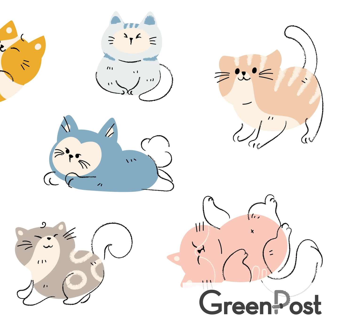 Caja de 10 Packs - 30 Paños Esponja Compostable - Diseño Miau