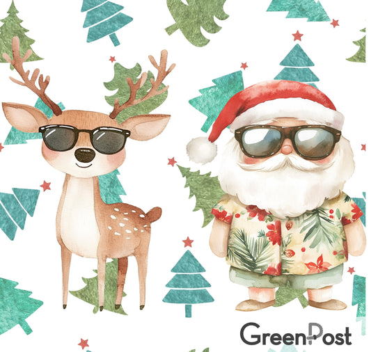 Paño Esponja Compostable (Pack 2) - Diseño Viejito Pascuero 25