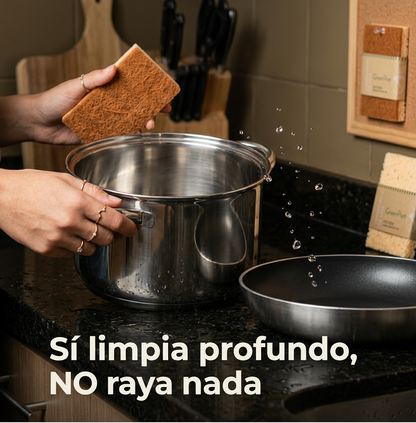 Esponja Compostable de FIBRA DE COCO. Pack 2 unidades