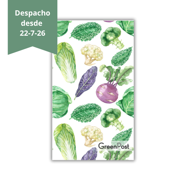 Paño de Cocina - Diseño Verduras